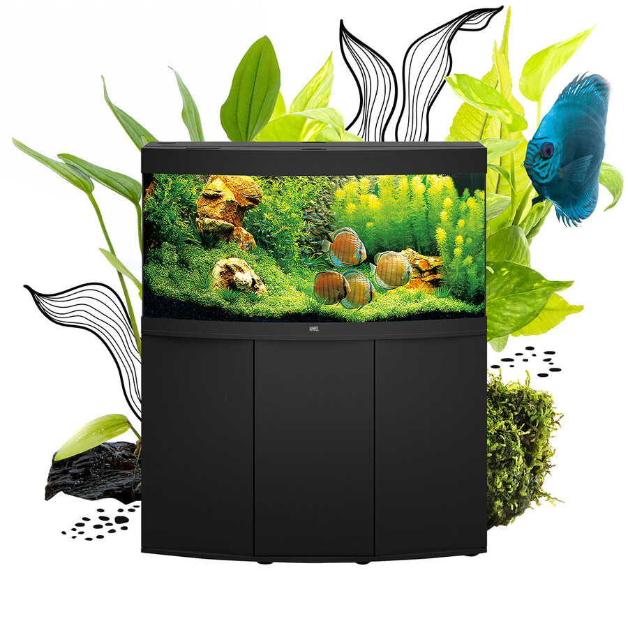 Aquadcadabra's Guide on How to Decorate a Fish Tank – Aquacadabra